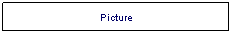 Text Box: Picture
